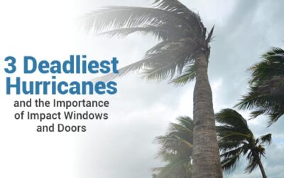 Miami Impact Doors
