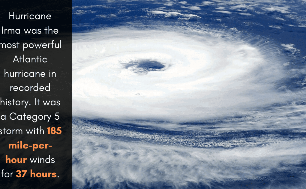 hurricane proof windows