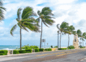 impact windows for coastal properties in florida